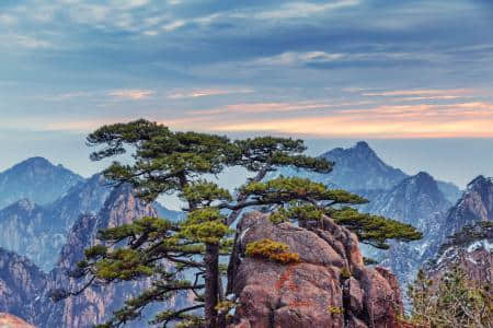 到黄山旅游，欣赏黄山沿途漂亮风景图，先过眼瘾！