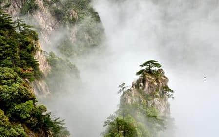 到黄山旅游，欣赏黄山沿途漂亮风景图，先过眼瘾！