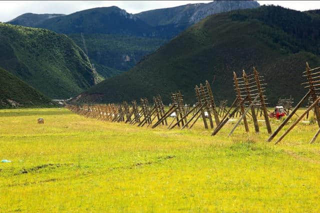 坐上火车去天堂，昆明到香格里拉只需4小时，一路都是美景，漂亮