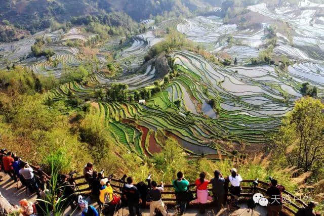 郑州出发玩转云南之元阳梯田、世外桃源坝美、普者黑山水清肺之旅