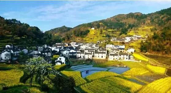 厉害了！大黄山！新年首日，黄山旅游登陆美国纽约时代广场！