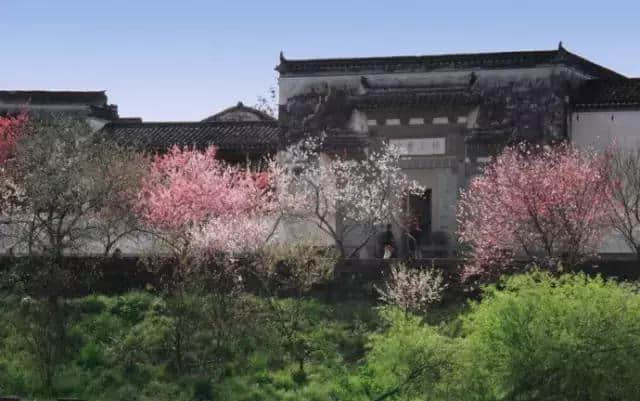 厉害了！大黄山！新年首日，黄山旅游登陆美国纽约时代广场！