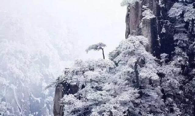 厉害了！大黄山！新年首日，黄山旅游登陆美国纽约时代广场！