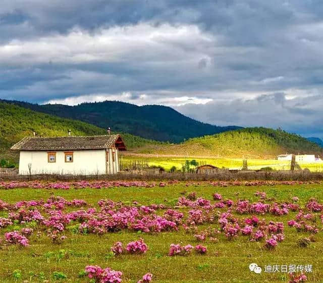 诗画般的美景，迪庆州推出四季旅游路线，约吧！