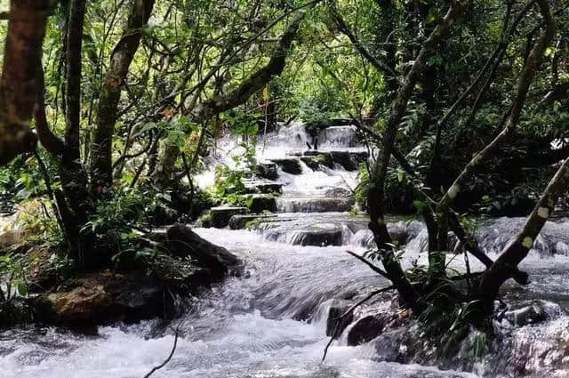 好消息｜四川人赴贵州旅游，景区门票和高速均可享五折优惠！