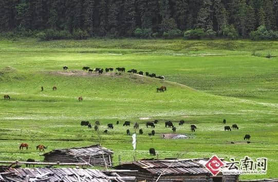 世界的香格里拉——聚焦迪庆全域旅游 全媒体采访活动启动