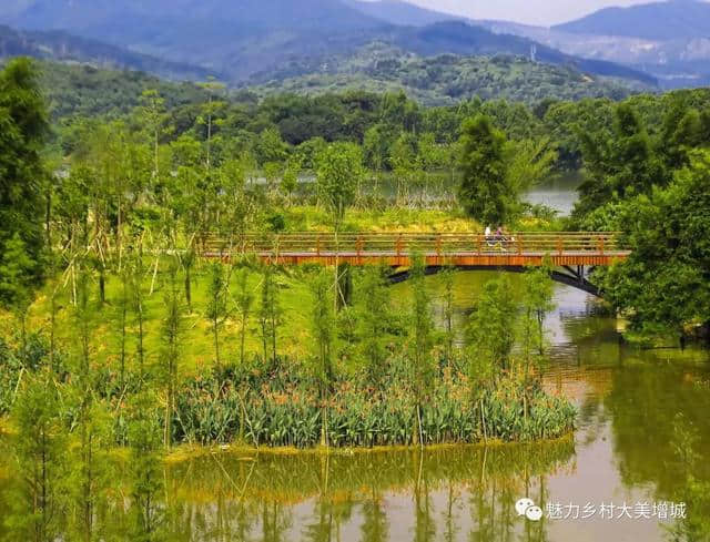 增城绿道仙源美丽乡村群游玩线路来啦！带你打卡南、北路线景点！