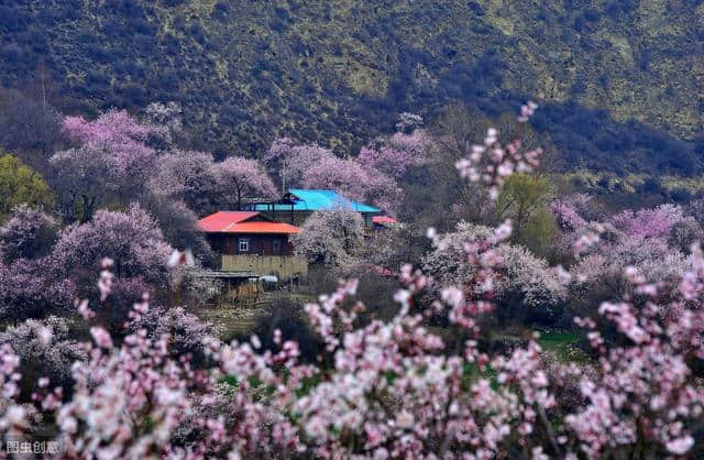 10条艺术之旅路线！苏州江南文化艺术·国际旅游节应该这样游玩