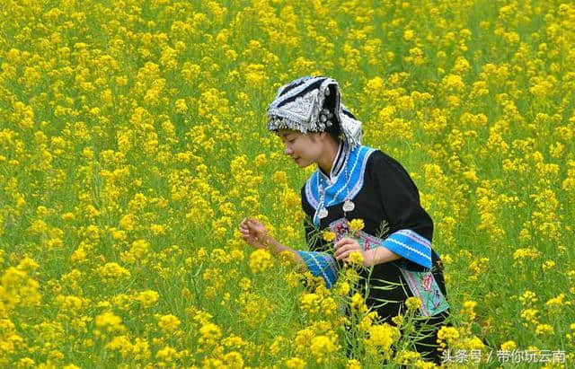 科普云南旅游线路，五分钟让你玩转云南，专治各种路痴