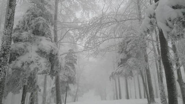 前方高能，一大波雪景来势汹汹......