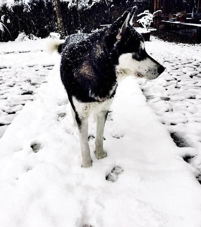 前方高能，一大波雪景来势汹汹......