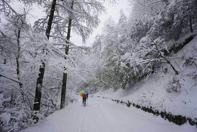 前方高能，一大波雪景来势汹汹......