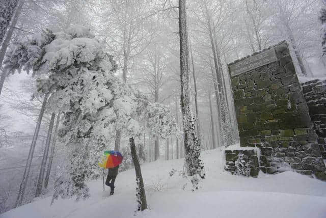 前方高能，一大波雪景来势汹汹......