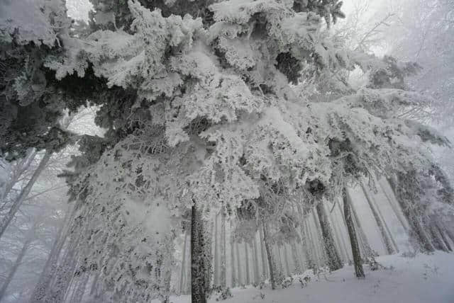 前方高能，一大波雪景来势汹汹......