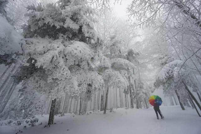 前方高能，一大波雪景来势汹汹......