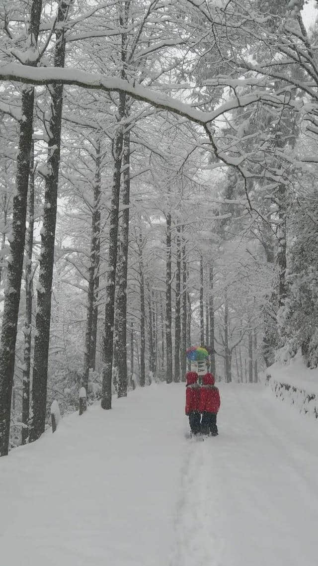 前方高能，一大波雪景来势汹汹......