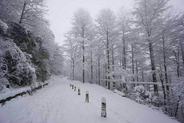 前方高能，一大波雪景来势汹汹......