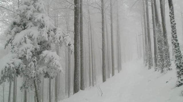 前方高能，一大波雪景来势汹汹......