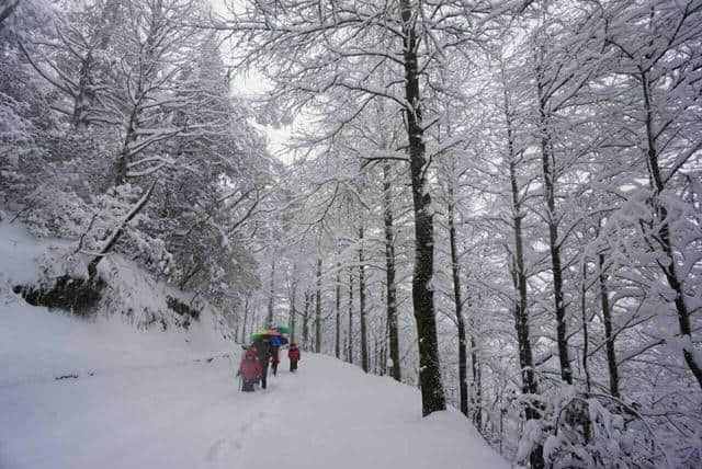 前方高能，一大波雪景来势汹汹......