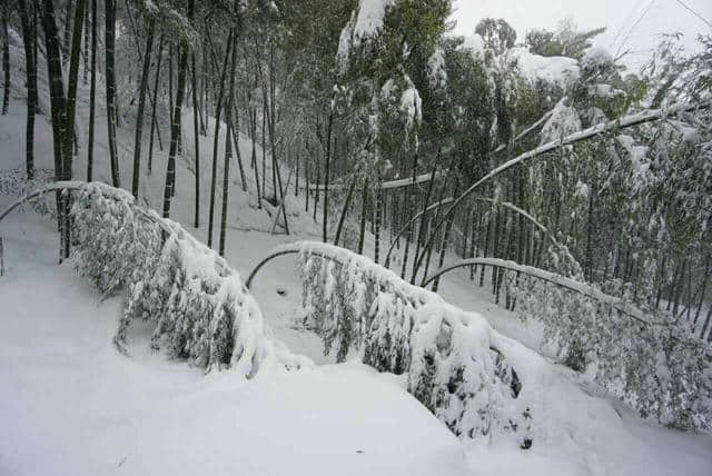 前方高能，一大波雪景来势汹汹......