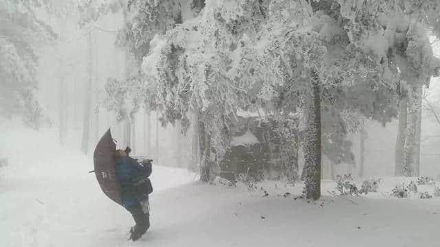 前方高能，一大波雪景来势汹汹......