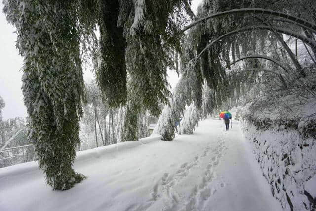 前方高能，一大波雪景来势汹汹......