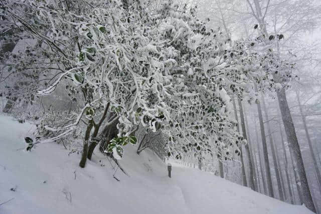 前方高能，一大波雪景来势汹汹......