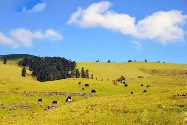 四川境内不输阿尔卑斯山的风光，原来就在乐山