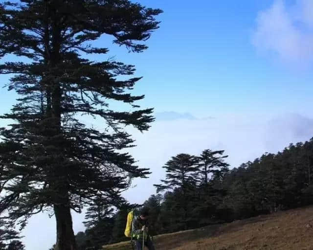 四川境内不输阿尔卑斯山的风光，原来就在乐山