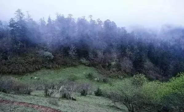 四川境内不输阿尔卑斯山的风光，原来就在乐山