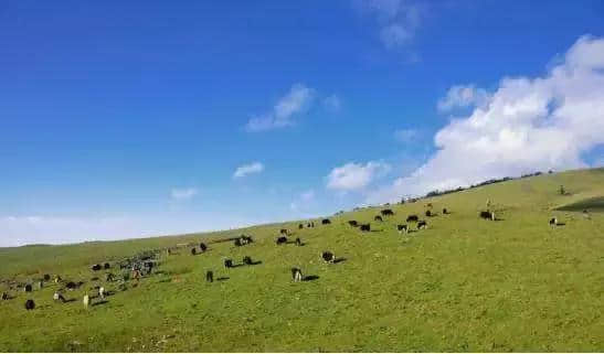 四川境内不输阿尔卑斯山的风光，原来就在乐山