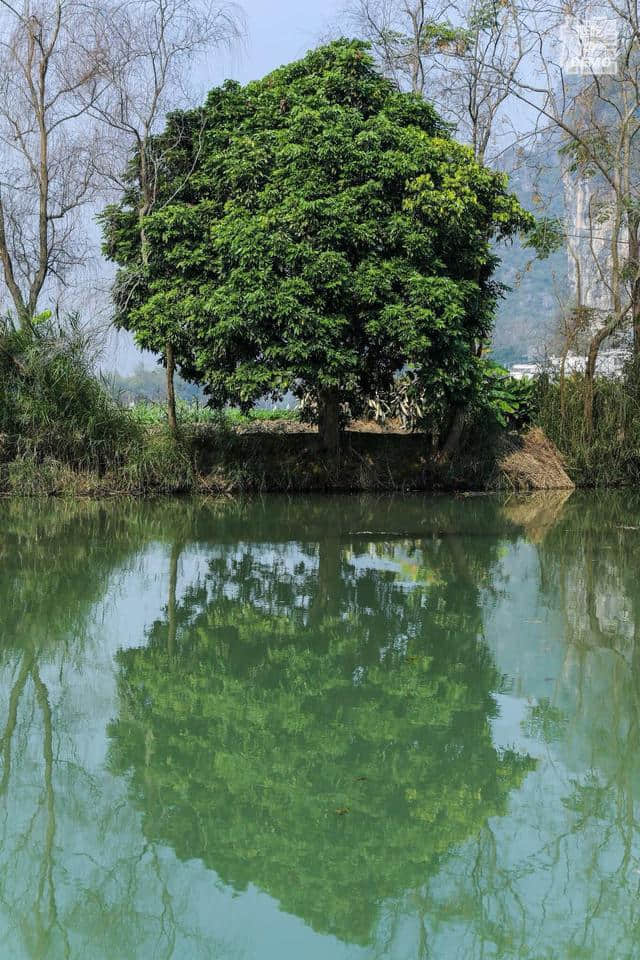 7月，在生命里遇见中越边境的青春之歌！南宁——德天瀑布 一日游