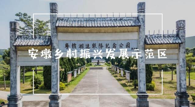 重阳登高｜惠东这一群人到飞鹅岭，扫除黑恶势力，弘扬社会正气