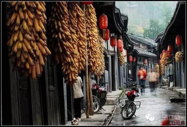 江油第五届乡村文化旅游节已经正式启动，从春天耍到秋天的极致体验！