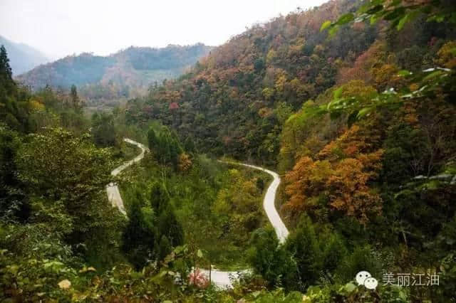 江油第五届乡村文化旅游节已经正式启动，从春天耍到秋天的极致体验！