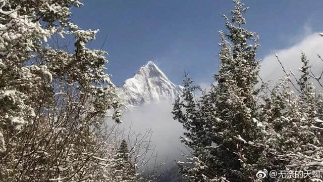 寻景 | 生活在四姑娘山，都挺好！