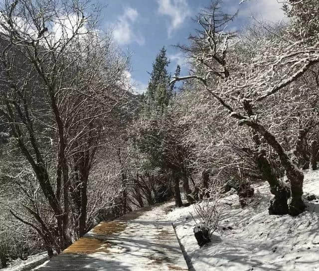 寻景 | 生活在四姑娘山，都挺好！