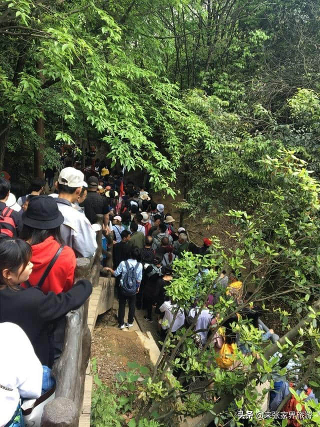 张家界森林公园+天门山三日旅游攻略