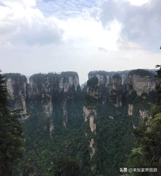 张家界森林公园+天门山三日旅游攻略