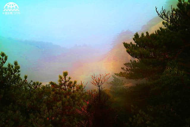 清明节首个假日 黄山风景区迎接中外来宾旅游观光