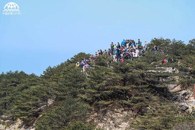 清明节首个假日 黄山风景区迎接中外来宾旅游观光