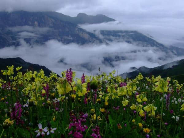 四川秋季小众旅游推荐