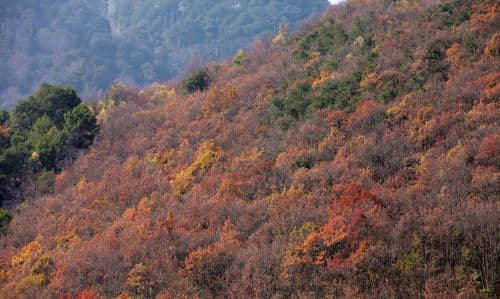 四川秋季小众旅游推荐