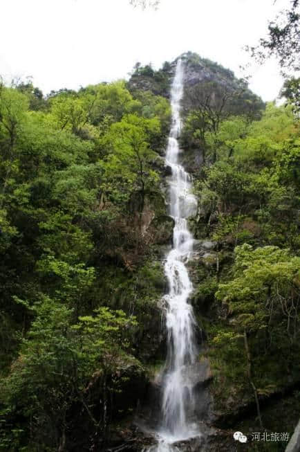 火线推荐｜黄山54家A级景区全部半价！不去亏大啦