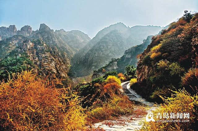 西海岸推出旅游一卡通年票 百元任游七大景区