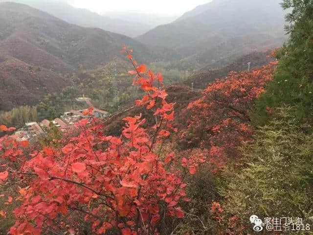 赶紧去！这个景美人少的门头沟秘境已在网上走红！