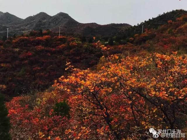 赶紧去！这个景美人少的门头沟秘境已在网上走红！