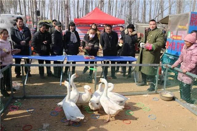 大年初三，蒙山旅游度假区人气持续高涨，特色美食购物受游客热捧