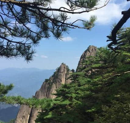 黄山持股游客免门票，一时人满为患，进去才知：羊毛出在羊身上