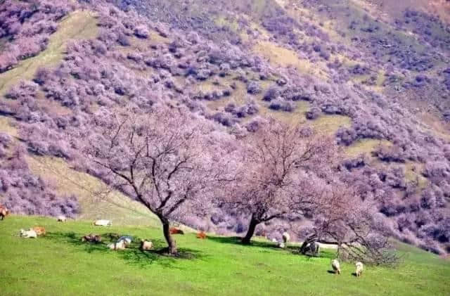 4月，适合旅行和遇见你……